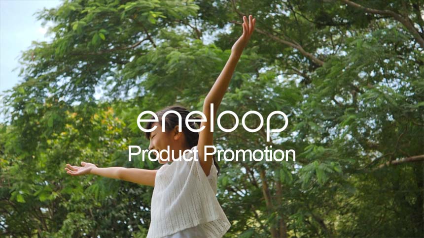 Panasonic Eneloop Product